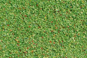 Auhagen Streumaterial Wiese hellgrün