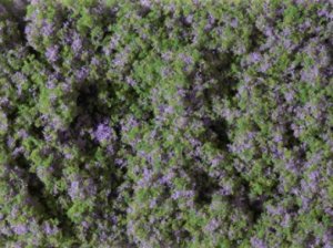 Auhagen Blumenmatte violett
