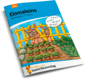 Hauschkaverlag Einmaleins Mathematik 2./3. Klasse