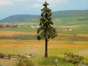 Noch Hochstamm-Wetterfichte H0 TT N